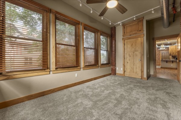 Peabody Whitehead Mansion, Unit 201 photo 14